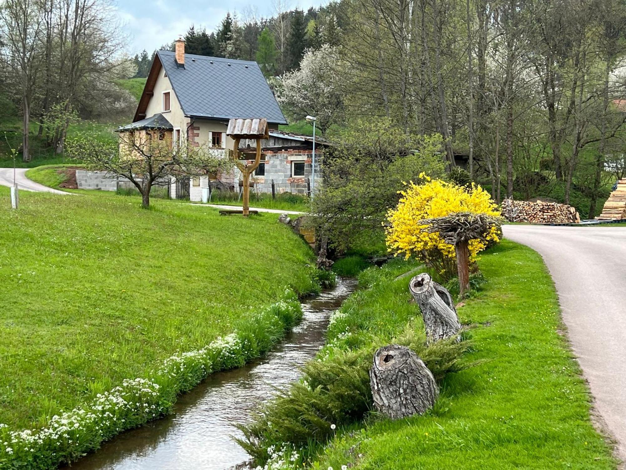 Little Cottage No.100 Vidochov Экстерьер фото
